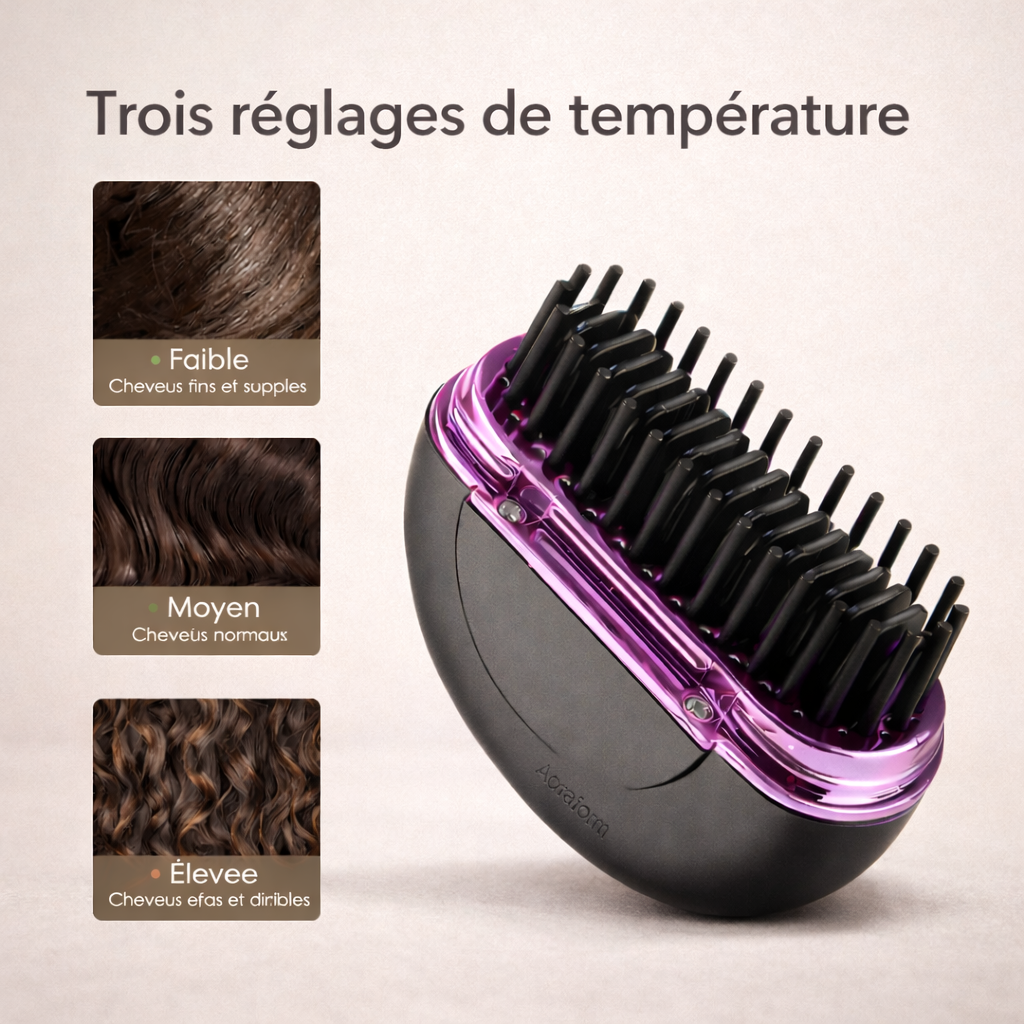 Mini Brosse Lissante Portable sans fil